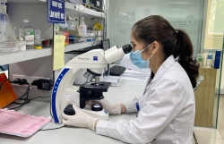Việt Nam dồn tổng lực loại trừ sốt rét trước năm 2030