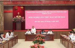 BCH Đảng bộ TP xem xét Đề án sắp xếp đơn vị hành chính