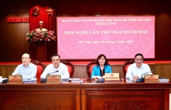 BCH Đảng bộ TP thông qua phương án 126 phường, xã sau sắp xếp
