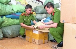 Phó Thủ tướng chỉ đạo xử lý vấn đề thuốc chữa bệnh giả