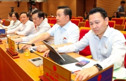 Hà Nội phê duyệt chủ trương đầu tư Dự án cầu Ngọc Hồi