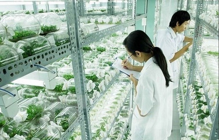 Hà Nội sắp có Khu công nghệ cao Sinh học rộng khoảng 199,03ha