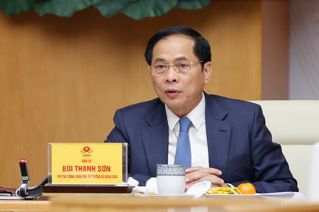Phó Thủ tướng Chính phủ Bùi Thanh Sơn.