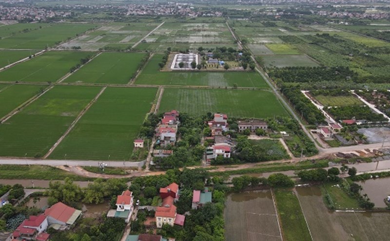 Ảnh minh hoạ