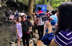 Hàng nghìn du khách đổ về tham quan suối cá thần Thanh Hóa