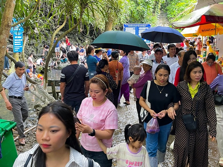 Hàng nghìn du khách đổ về tham quan suối cá thần Thanh Hóa