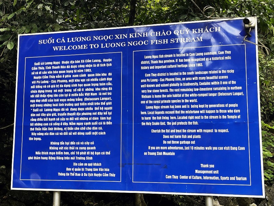 Hàng nghìn du khách đổ về tham quan suối cá thần Thanh Hóa