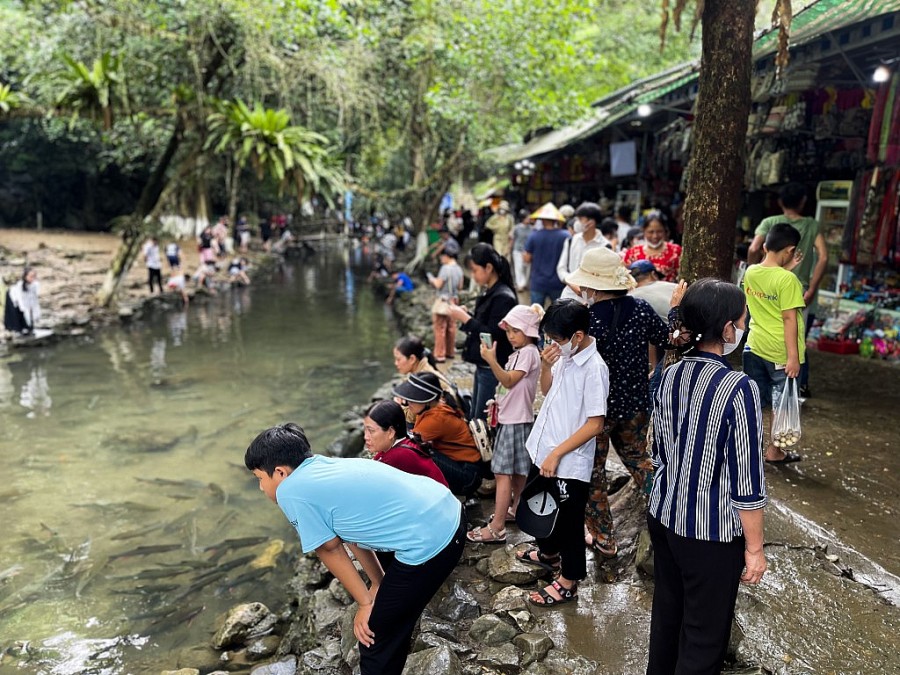 Hàng nghìn du khách đổ về tham quan suối cá thần Thanh Hóa