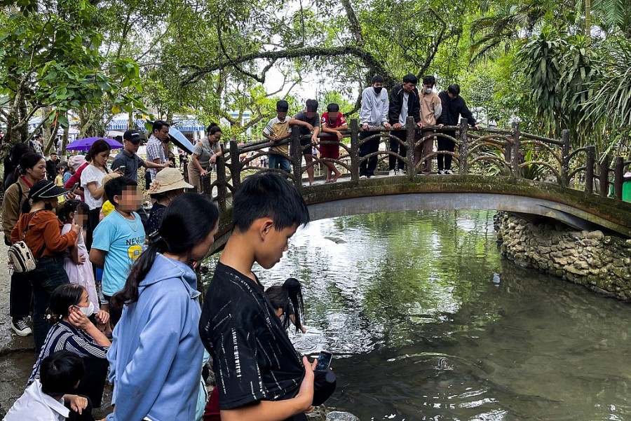 Hàng nghìn du khách đổ về tham quan suối cá thần Thanh Hóa