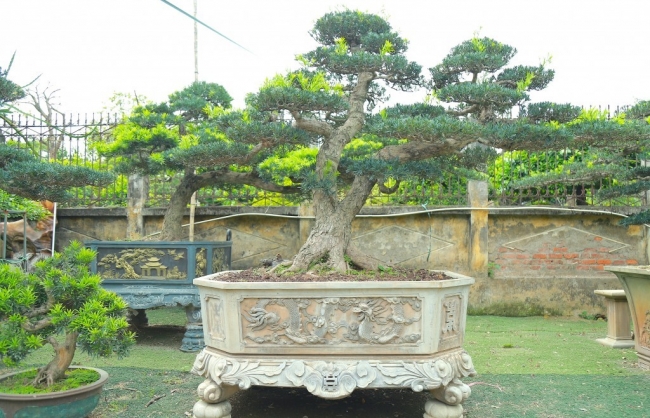 Tôn vinh giá trị khoa học, lan tỏa tinh thần đổi mới sáng tạo