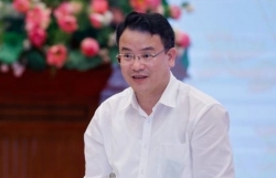 Vì sao bùng nổ doanh nghiệp gia nhập và trở lại thị trường?