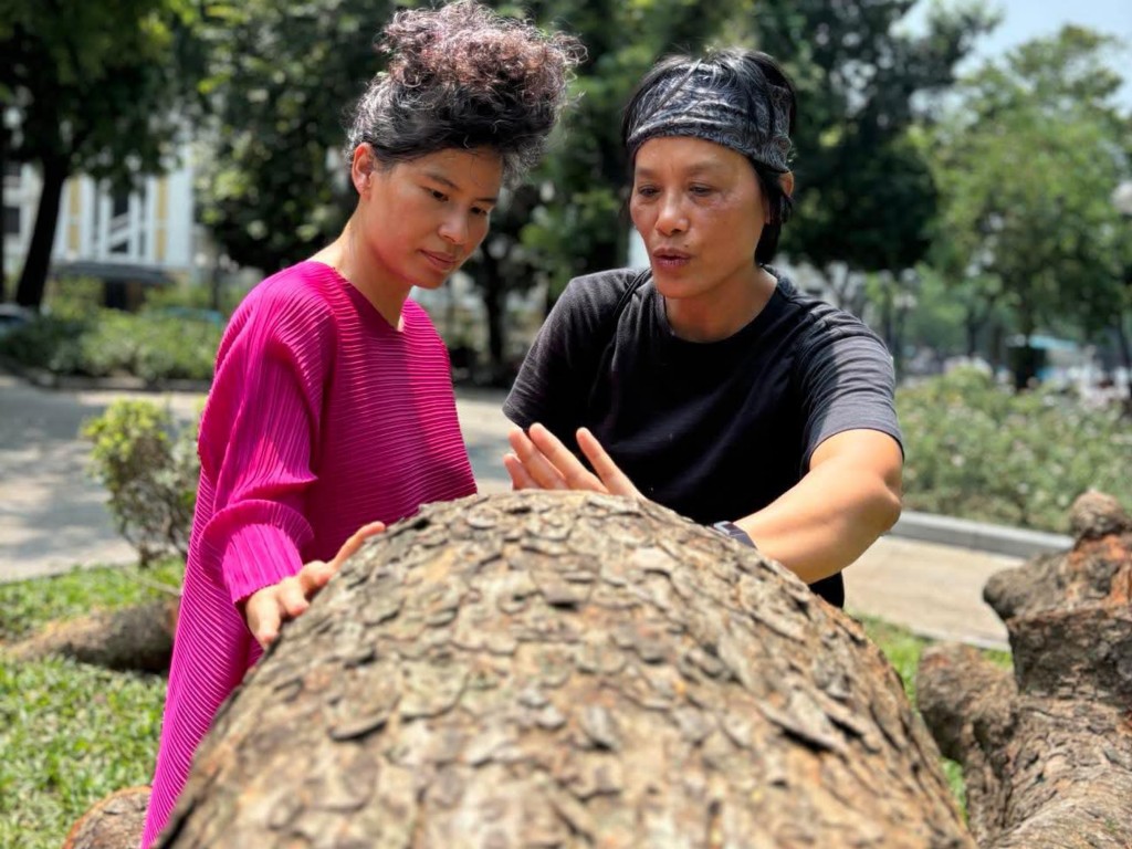 Nghệ sĩ Tia - Thủy Nguyễn bàn phương án thi công cây