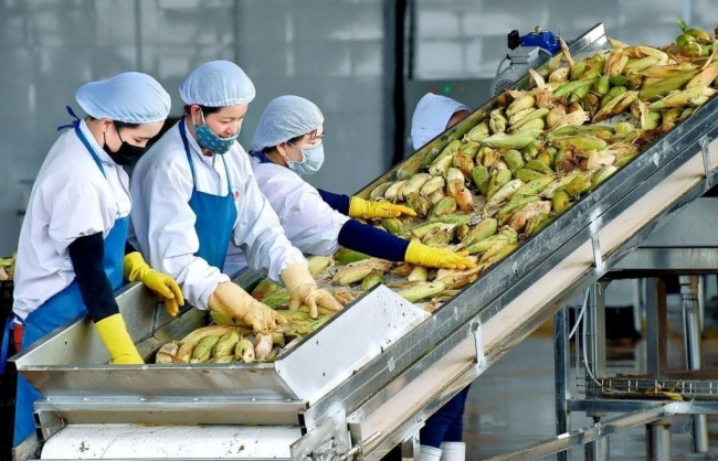 Bảo đảm sản xuất, tiêu thụ, xuất khẩu nông lâm thủy sản trong bối cảnh biến động thương mại toàn cầu
