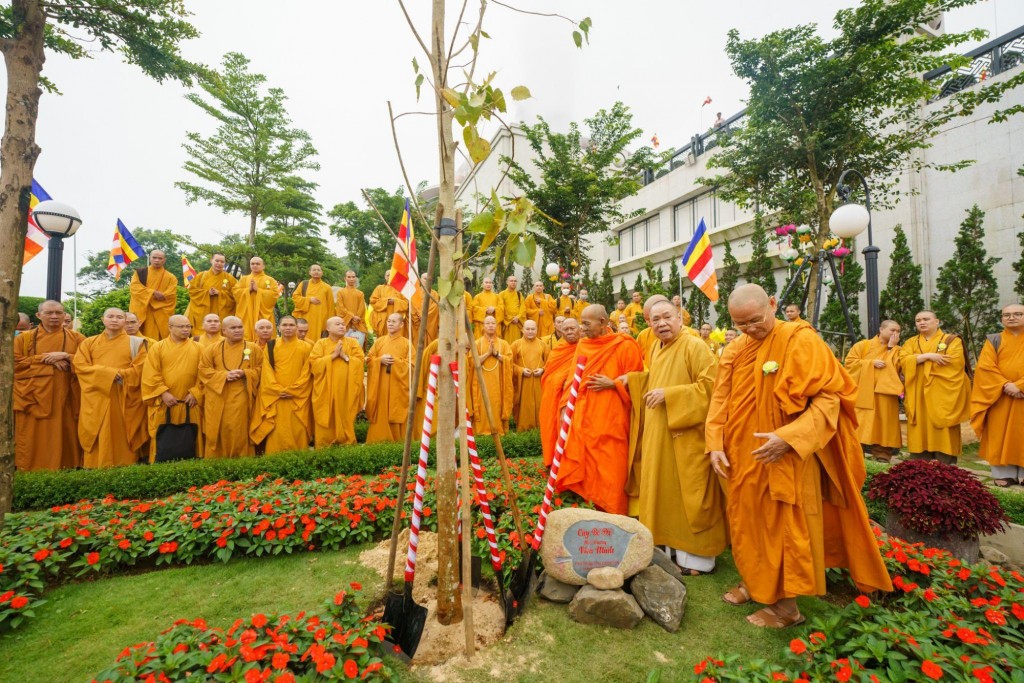 Các cao tăng trồng bồ đề tại Thế giới Bồ Đề Viên trên đỉnh núi Bà Đen (Tây Ninh)