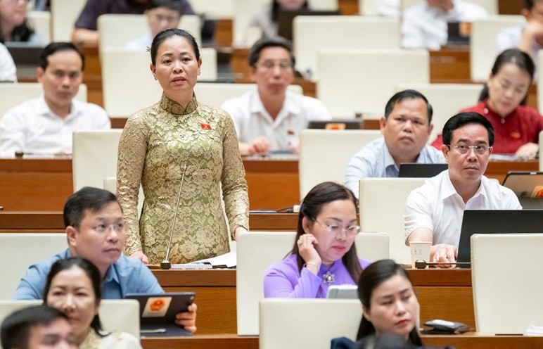 Hàng trăm nghìn nông dân trồng dừa lo lắng khi áp thuế nước ngọt