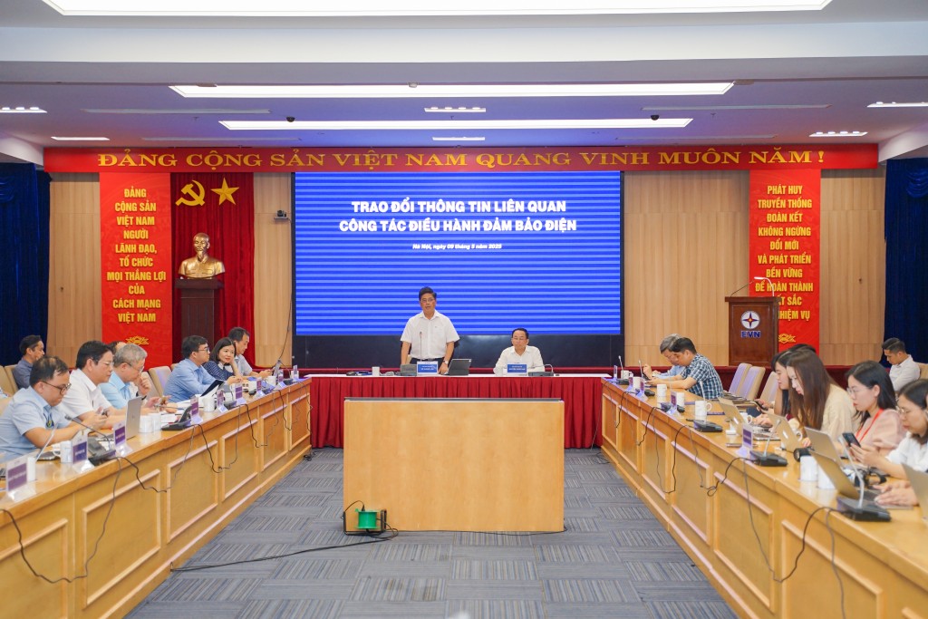 Ông Võ Quang Lâm, Phó Tổng Giám đốc Tập đoàn Điện lực Việt Nam phát biểu tại cuộc làm việc