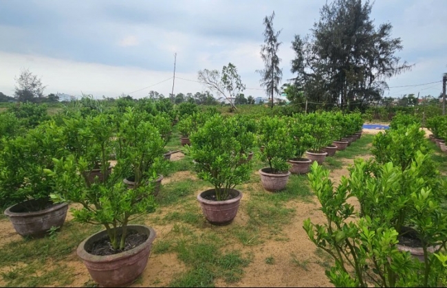 Khu dân cư "nằm trên giấy", người dân muốn làm rõ tính khả thi