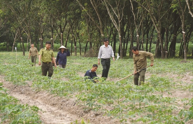 Vietcap ra mắt dự án vì cộng đồng Go Green Go Up: Vững xanh tài chính, phủ xanh Việt Nam
