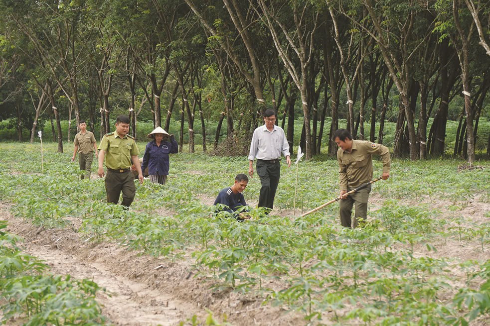 Vietcap ra mắt dự án vì cộng đồng Go Green Go Up: Vững xanh tài chính, phủ xanh Việt Nam