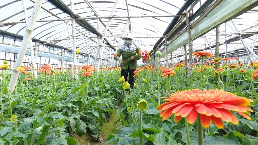 Nhận diện công trình xây dựng trên đất nông nghiệp