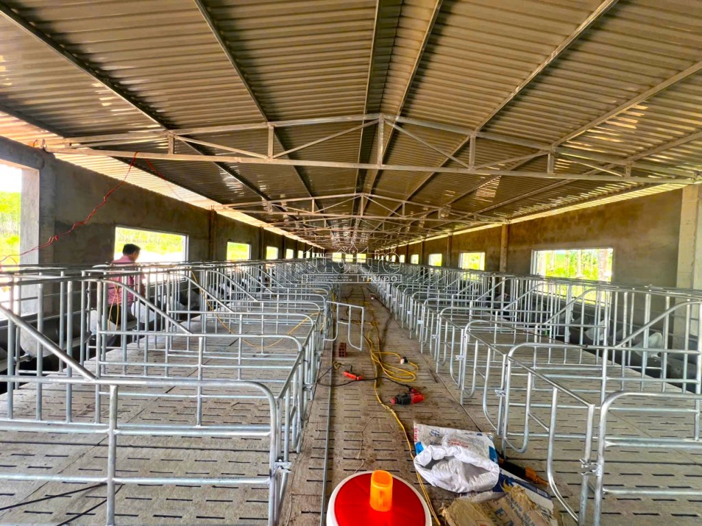 Kon Tum: Khẩn trương kiểm tra trang trại chăn nuôi heo trái phép