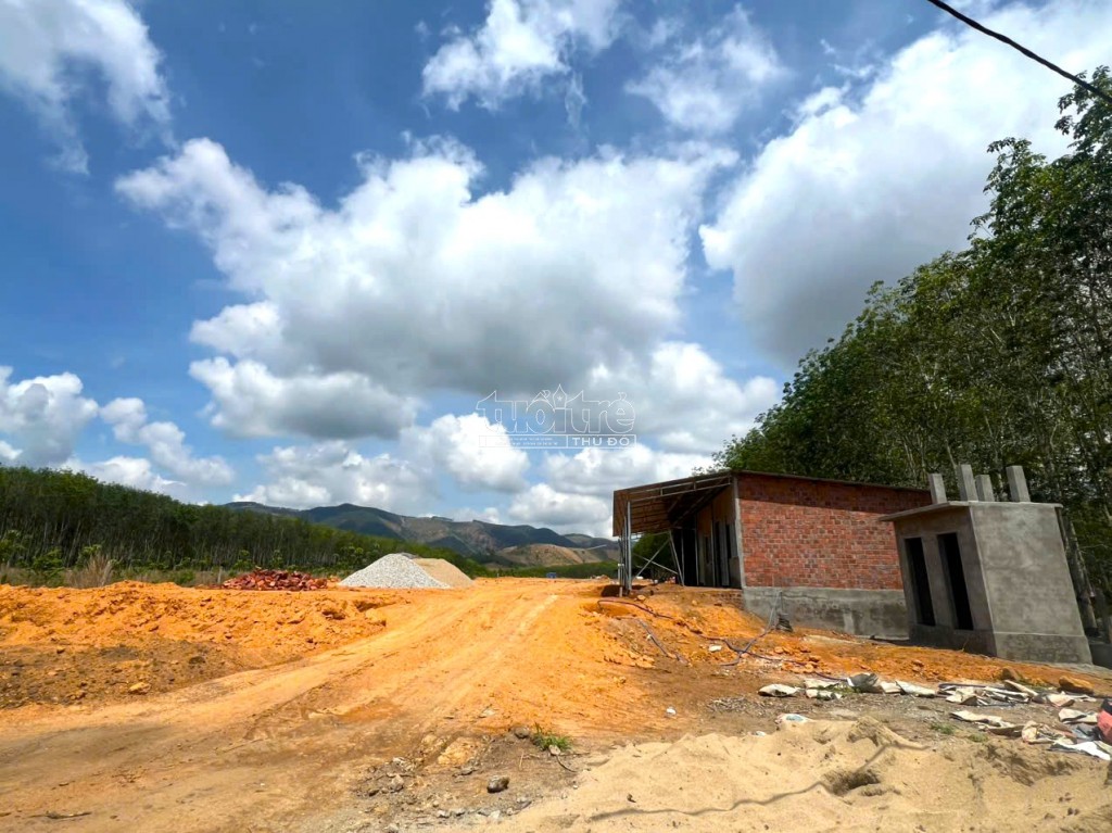 Kon Tum: Khẩn trương kiểm tra trang trại chăn nuôi heo trái phép