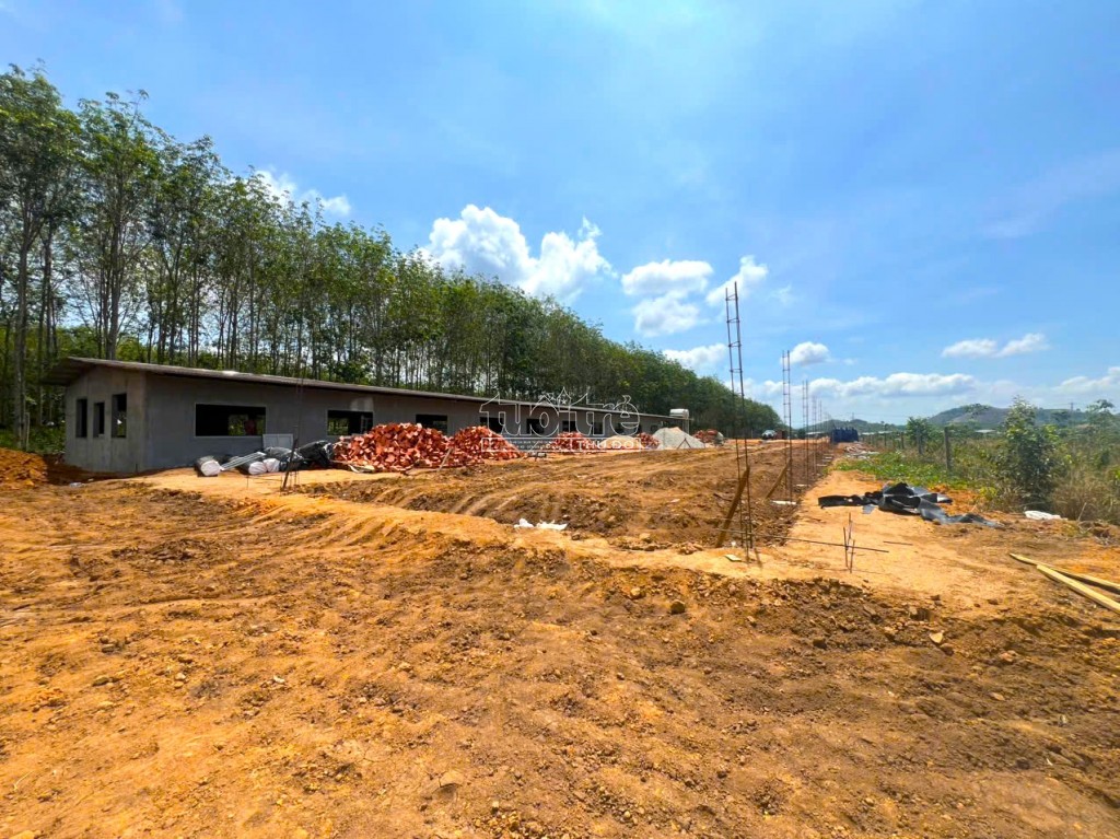 Kon Tum: Khẩn trương kiểm tra trang trại chăn nuôi heo trái phép