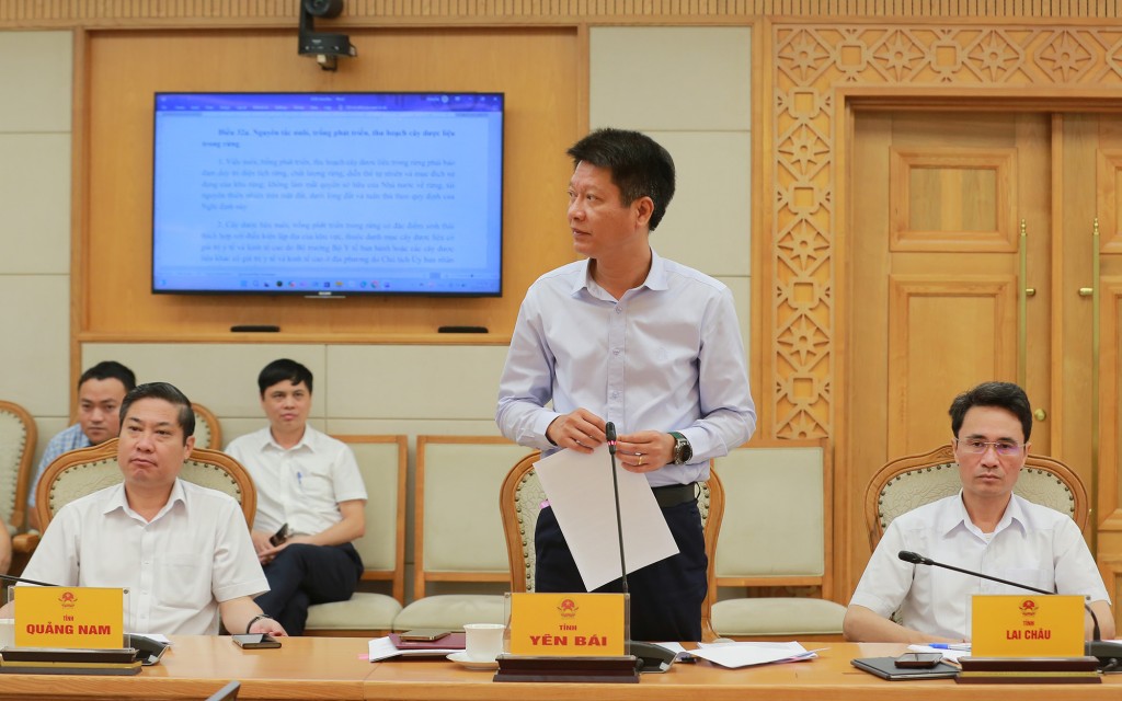 Tạo không gian pháp lý kiến tạo cho hoạt động khai thác, sử dụng bền vững đất rừng, tài nguyên rừng