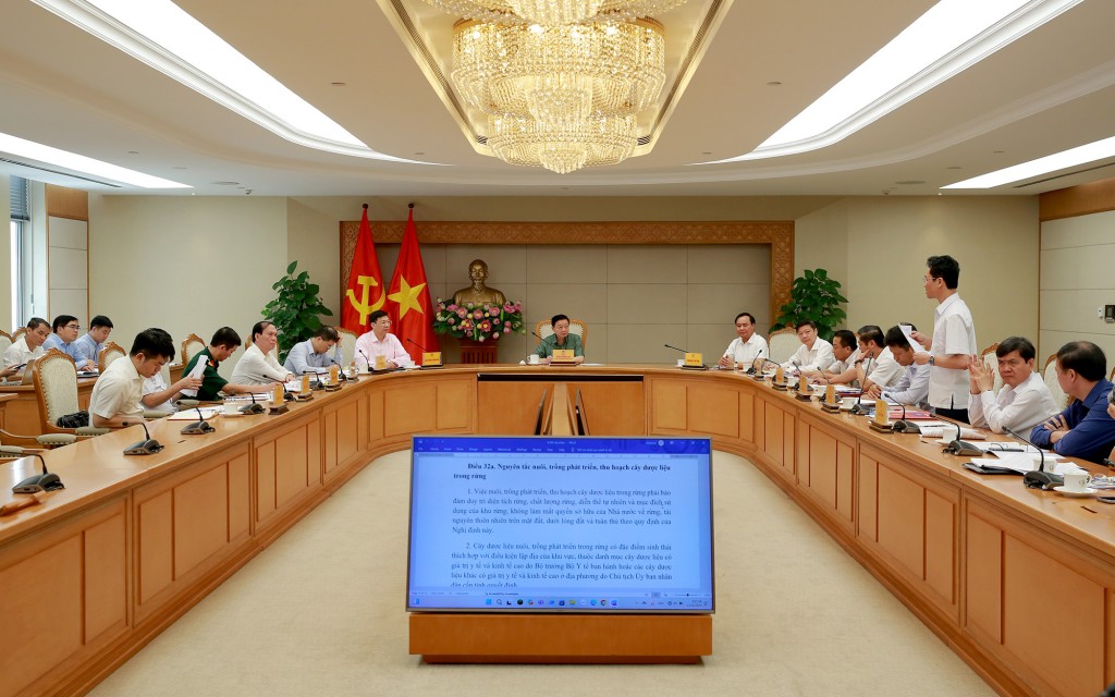 Tạo không gian pháp lý kiến tạo cho hoạt động khai thác, sử dụng bền vững đất rừng, tài nguyên rừng