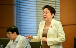 Khó quản doanh nghiệp nếu thanh, kiểm tra 1 lần/năm?