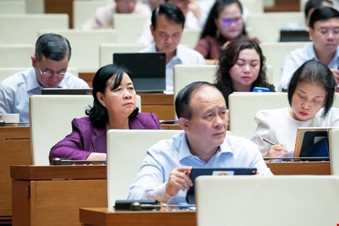 Coi người tài là chủ thể đặc biệt trong nền công vụ đổi mới