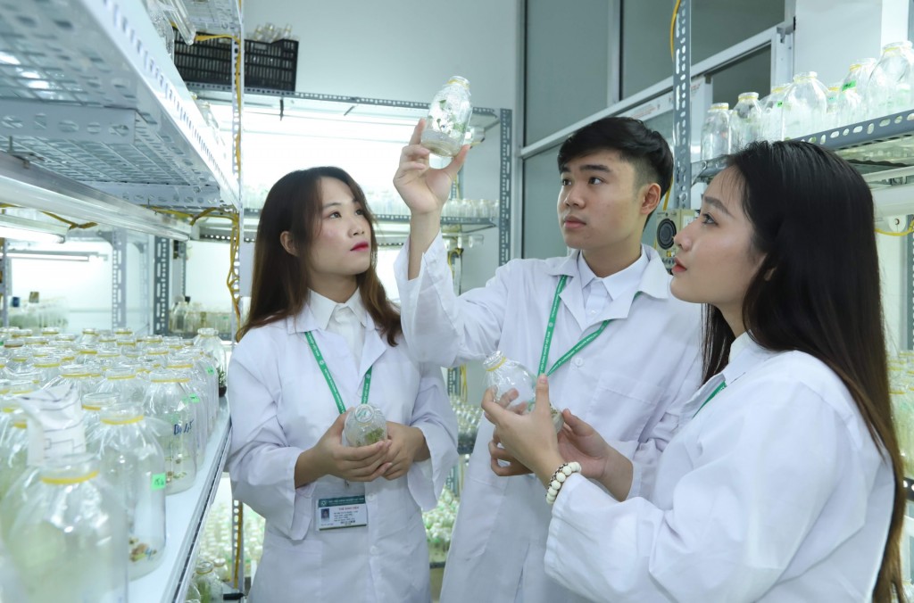 Coi người tài là chủ thể đặc biệt trong nền công vụ đổi mới