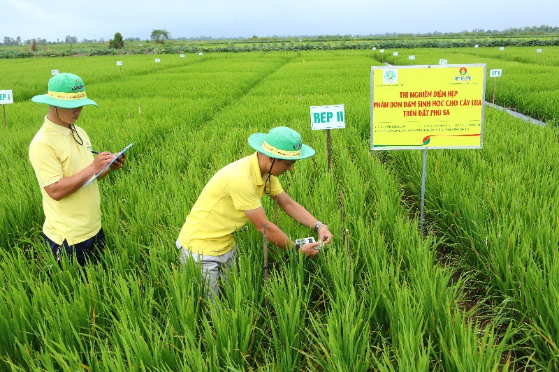 Các nhà máy sản xuất phân bón của Petrovietnam xây dựng và phát triển hệ phân bón chất lượng cao phù hợp với từng loại thổ nhưỡng, cây trồng của Việt Nam