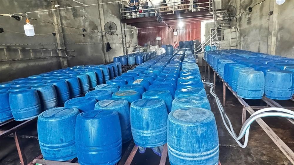 Hàng chục chiếc lu làm giá đỗ chuẩn bị xuất ra thị trường. Ảnh: Bộ Công an