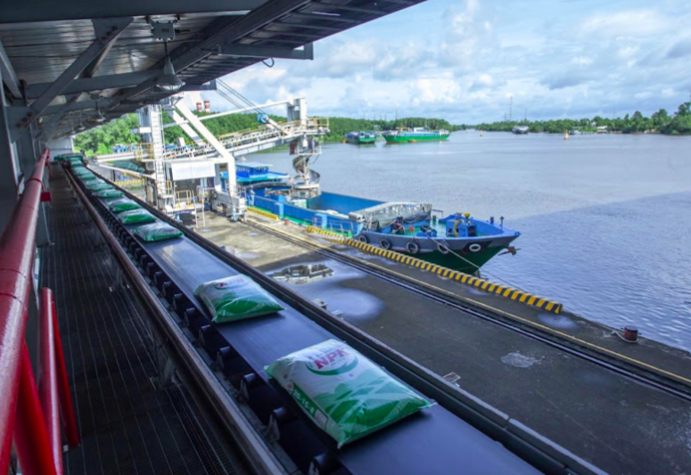 Bứt phá toàn diện, PVCFC giữ thế chủ lực trong mùa vụ Hè Thu
