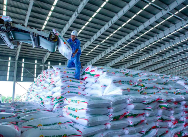 Bứt phá toàn diện, PVCFC giữ thế chủ lực trong mùa vụ Hè Thu