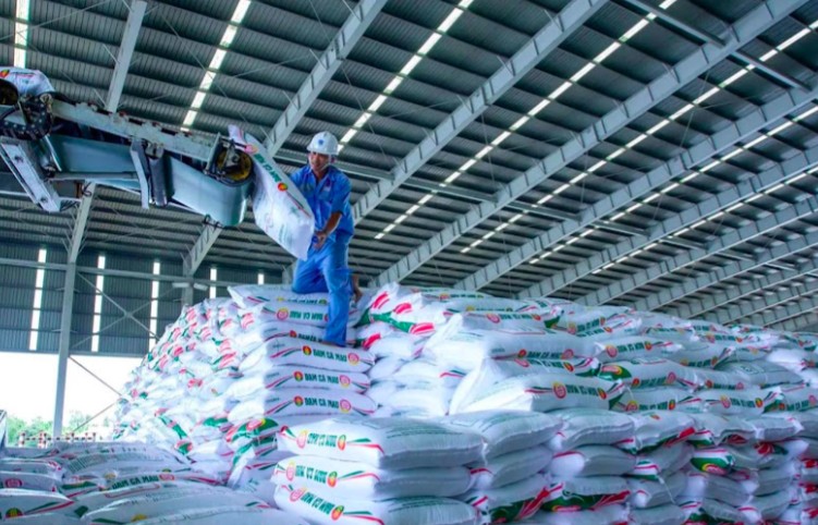 Bứt phá toàn diện, PVCFC giữ thế chủ lực trong mùa vụ Hè Thu