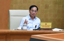 Tập trung triển khai hiệu quả những kết quả của Hội nghị P4G