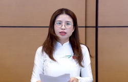 Không để miễn học phí nhưng lại phát sinh nhiều khoản thu khác