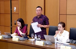 Làm sao để doanh nghiệp không còn phải “đi giữa mê cung thủ tục”?