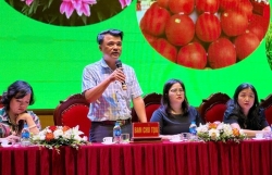 Thúc đẩy ngành nông nghiệp huyện Mê Linh phát triển hiệu quả, bền vững