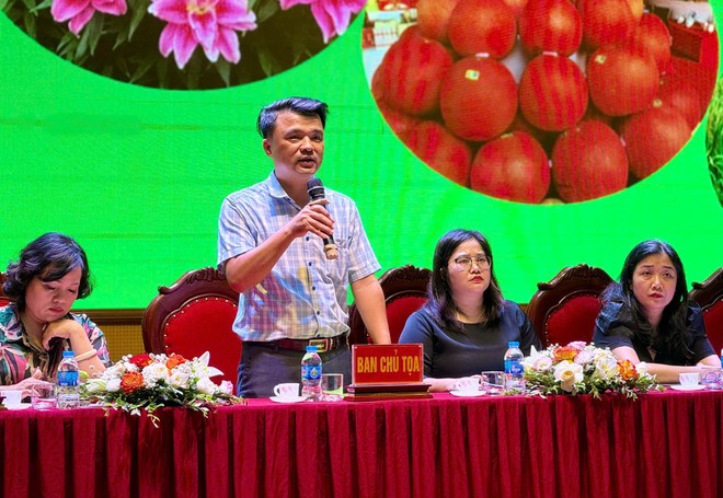 Thúc đẩy ngành nông nghiệp huyện Mê Linh phát triển hiệu quả, bền vững