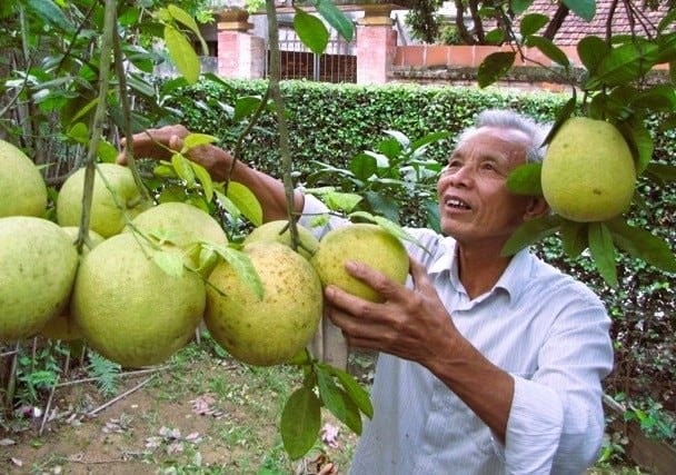 Cho phép sử dụng địa danh 