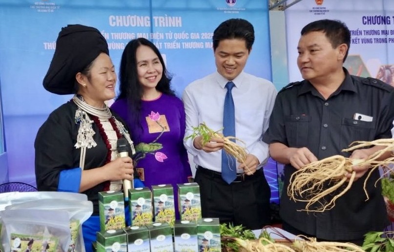Thúc đẩy liên kết vùng trong phát triển thương mại điện tử