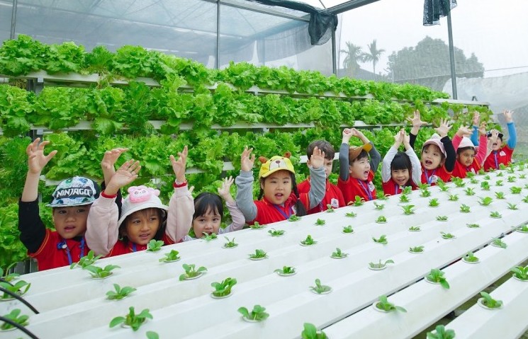 Khởi đầu vững vàng với giáo dục mầm non: Từ yêu thương đến tự lập