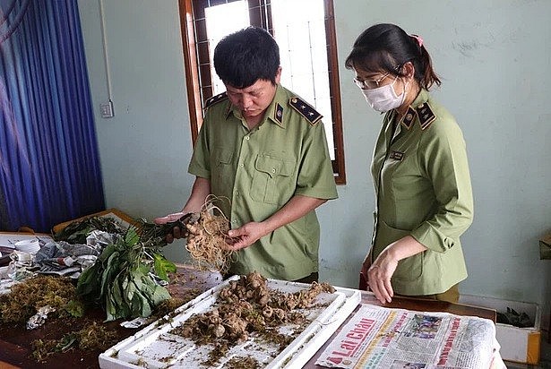 Kon Tum: "Không vùng cấm, không ngoại lệ" trong đấu tranh hàng giả
