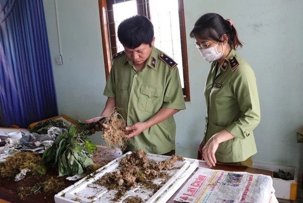 Kon Tum: 