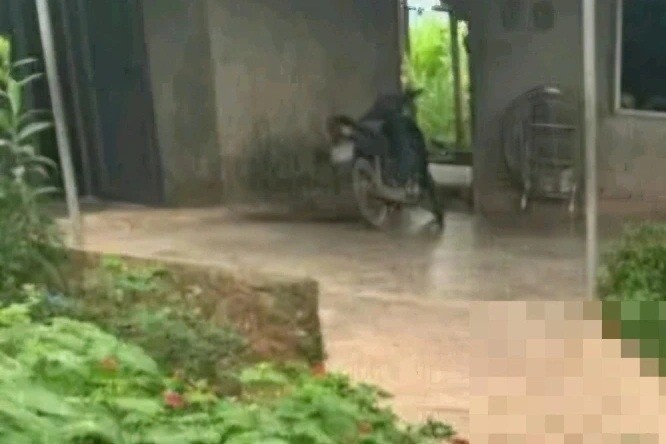 Khu vực xảy ra vụ việc