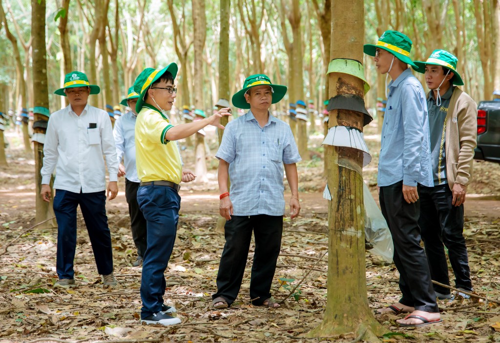 PVCFC đánh dấu 10 năm đồng hành và vững bước cùng nông nghiệp Campuchia