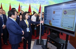 Chuyển đổi số ngân hàng phải "hành động quyết liệt, nâng tầm hiệu quả"